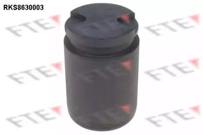 FTE RKS8630003 Piston assy caliper FTE RKS8630003 Piston assy caliper