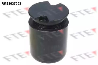 FTE RKS8637003 Piston assy caliper FTE RKS8637003 Piston assy caliper