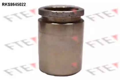 FTE RKS8645022 Piston assy caliper FTE RKS8645022 Piston assy caliper