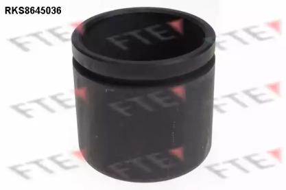 FTE RKS8645036 Piston assy caliper FTE RKS8645036 Piston assy caliper