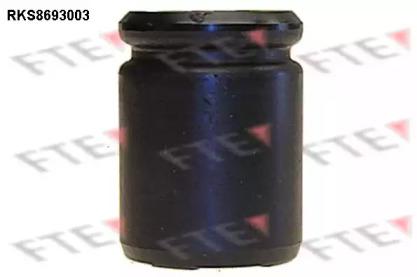 FTE RKS8693003 Piston assy caliper FTE RKS8693003 Piston assy caliper