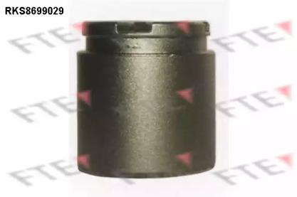 FTE RKS8699029 Piston assy caliper
