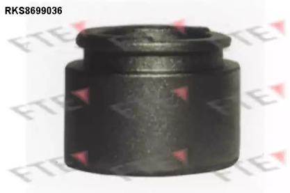 FTE RKS8699036 Piston assy caliper