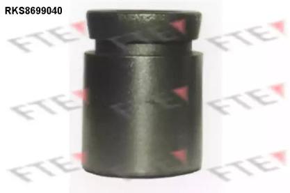 FTE RKS8699040 Поршень гальмівного супорта FTE RKS8699040 Поршень гальмівного супорта