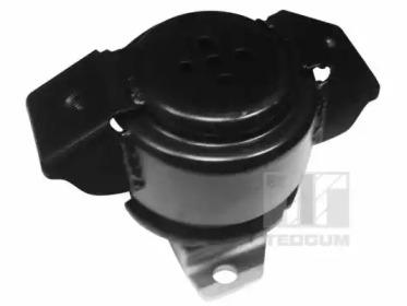 Tedgum 00725583 Опора двигуна, КПП Tedgum 00725583 Опора двигуна, КПП