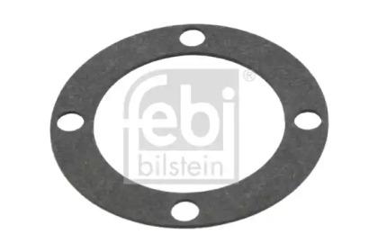 Febi 19166 Radial seal