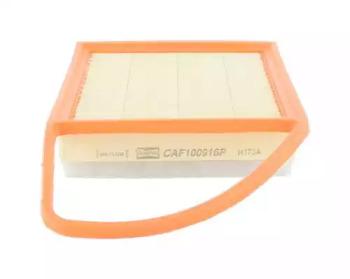 Champion CAF100916P Air filter