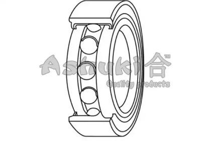 Ashuki D118-10 Wheel bearing