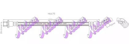 Brovex-Nelson H6675 Шланг гальмівний Brovex-Nelson H6675 Шланг гальмівний