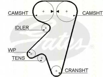 Triscan 86455190 Belt timing Triscan 86455190 Belt timing