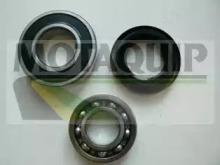 Motaquip VBK1096 Підшипник маточини колеса