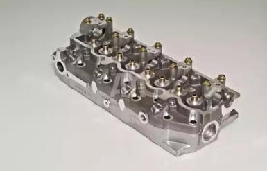 Wilmink Group WG1011006 Головка блоку циліндрів