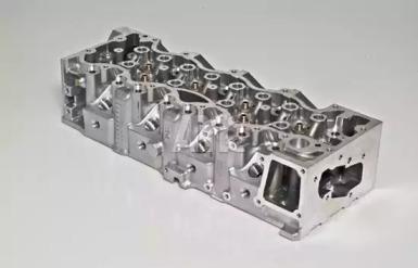 Wilmink Group WG1011022 Головка блоку циліндрів Wilmink Group WG1011022 Головка блоку циліндрів