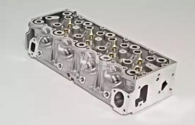 Wilmink Group WG1011024 Головка блоку циліндрів