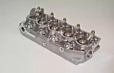 Wilmink Group WG1011129 Головка блоку циліндрів Wilmink Group WG1011129 Головка блоку циліндрів