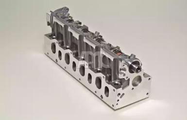 Wilmink Group WG1011381 Головка блоку циліндрів