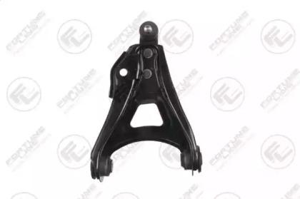 Fortune Line FZ6604 Arm assy suspension