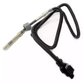 Wilmink Group WG1748727 Temperature sensor
