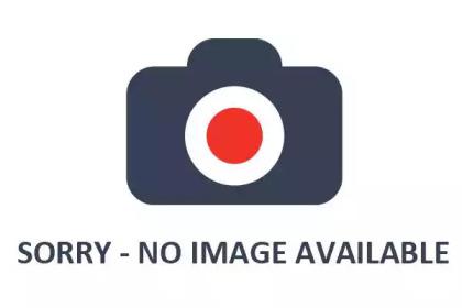 S.B.S. 1301211917 Супорт гальмівний