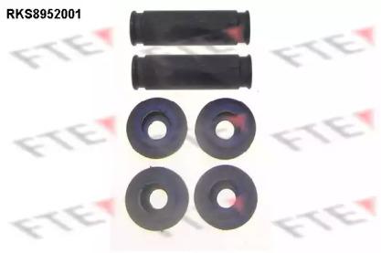 FTE RKS8952001 Pin disc brake