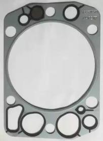 Wilmink Group WG1189085 Gasket cylinder head