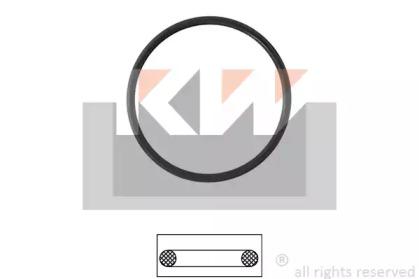 KW 590 687 Прокладка термостата KW 590 687 Прокладка термостата