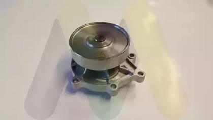 Motaquip LVWP1029 Water pump Motaquip LVWP1029 Water pump