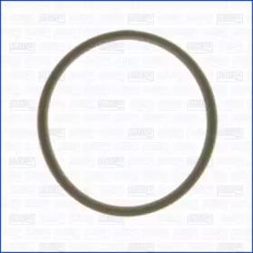 Wilmink Group WG1451151 Gasket graphite Wilmink Group WG1451151 Gasket graphite
