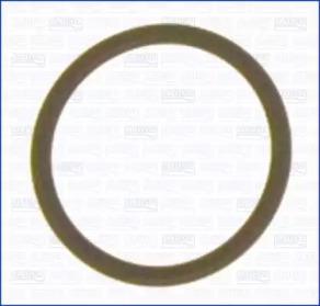 Wilmink Group WG1451879 Pignon Wilmink Group WG1451879 Pignon