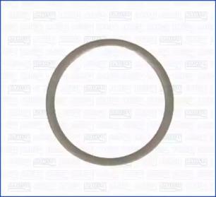 Wilmink Group WG1452021 Pignon