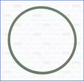 Wilmink Group WG1452112 Gasket graphite