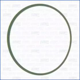 Wilmink Group WG1452137 Gasket graphite