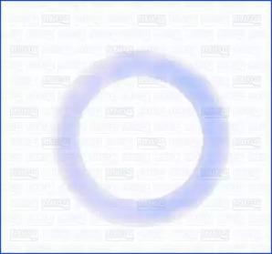 Wilmink Group WG1452154 Прокладка оливозливної пробки