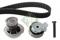 Ina 530 0004 32 Kit water pump repai — Photo #1 Ina 530 0004 32 Kit water pump repai — Photo #1