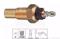 EPS 1.830.056 Sensor assy temperature — Photo #2