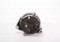 Bosch F 042 301 052 Alternator assy — Photo #3