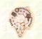 Japko 2H355 Alternator assy — Photo #2 Japko 2H355 Alternator assy — Photo #2