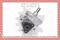 Esen SKV 10SKV007 Steering pump — Фото №4 Esen SKV 10SKV007 Steering pump — Фото №4