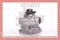 Esen SKV 10SKV172 Steering pump — Photo #2 Esen SKV 10SKV172 Steering pump — Photo #2