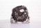 Bosch F 000 BL0 301 Alternator assy — Photo #3