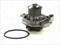 Thermotec D1W016TT Water pump — Photo #1 Thermotec D1W016TT Water pump — Photo #1