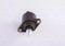 Bosch F00099M431 Valve assy idle speed control — Photo #3 Bosch F00099M431 Valve assy idle speed control — Photo #3