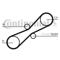 Contitech CT791 Belt timing — Photo #1 Contitech CT791 Belt timing — Photo #1