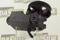 Da Silva DP3271 Steering pump — Photo #3 Da Silva DP3271 Steering pump — Photo #3