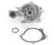 NPS M151I18 Water pump — Photo #2 NPS M151I18 Water pump — Photo #2