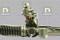 Da Silva DA2001 Gear rack and pinion — Photo #2