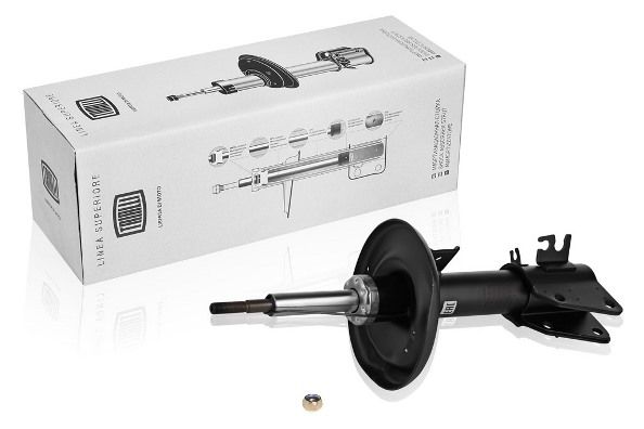 Trialli AG09061 Shock absorber assy