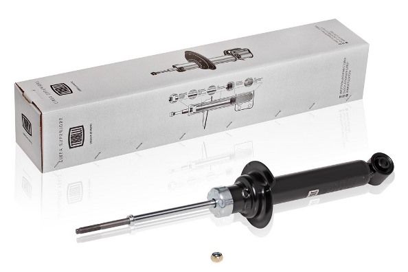 Trialli AG11058 Shock absorber assy