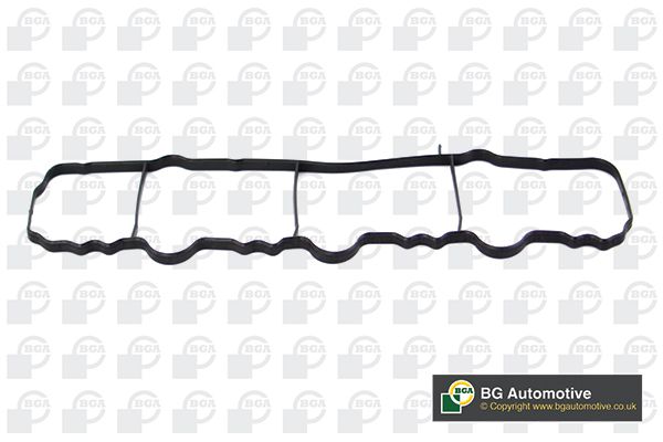 BGA MG4789 Gasket graphite