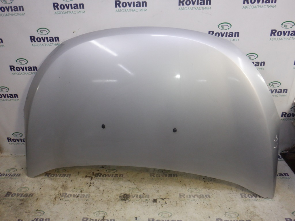 Renault 651002144R Hood